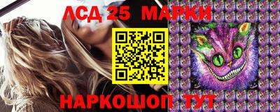 прущие грибы Севастополь