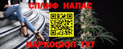 прущие грибы Севастополь