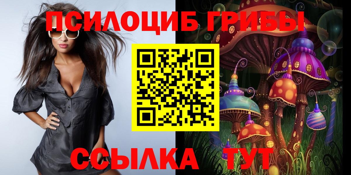 Псилоцибиновые грибы Psilocybine cubensis Павловский Посад